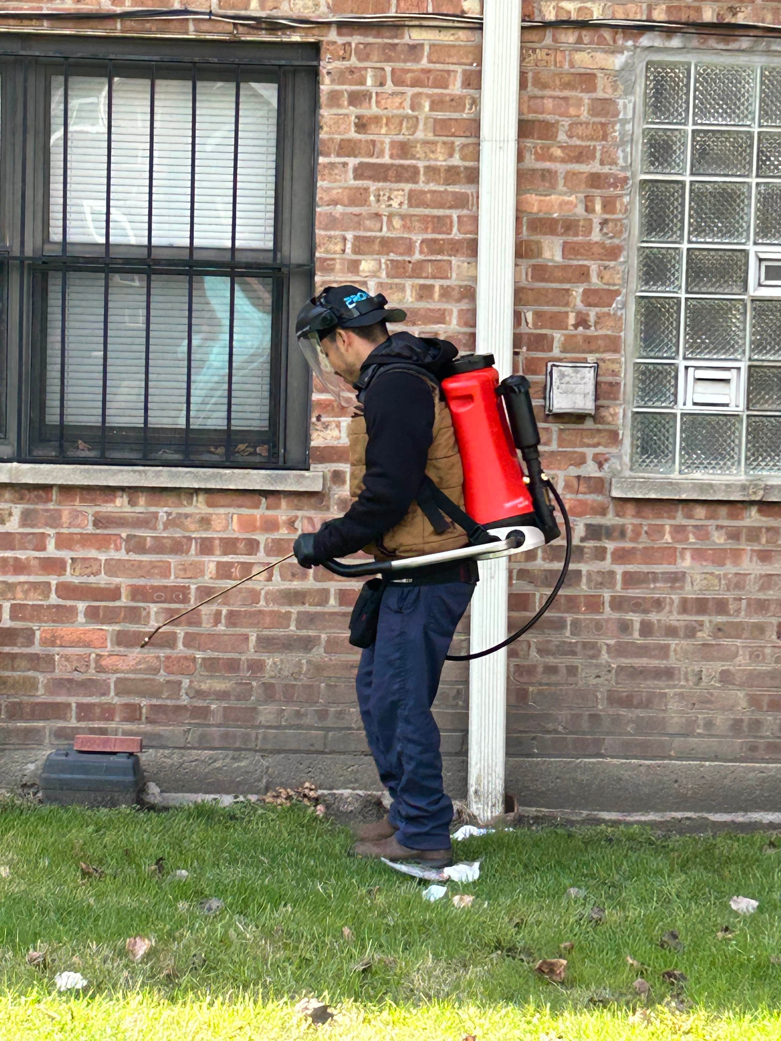 A pest technician treating the exterior of a brick home