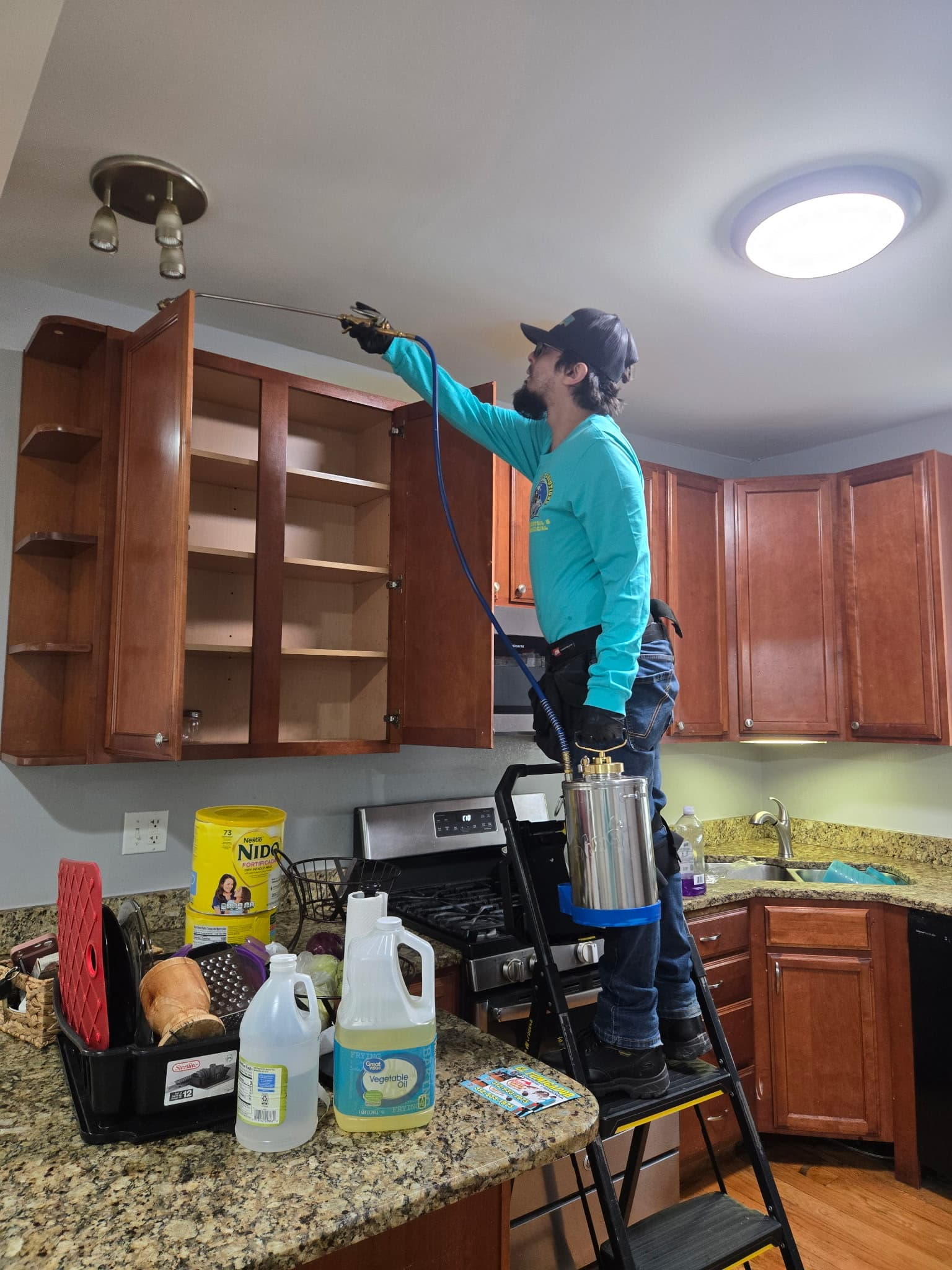 A pest technician treating kitchen cabinets for spider activity